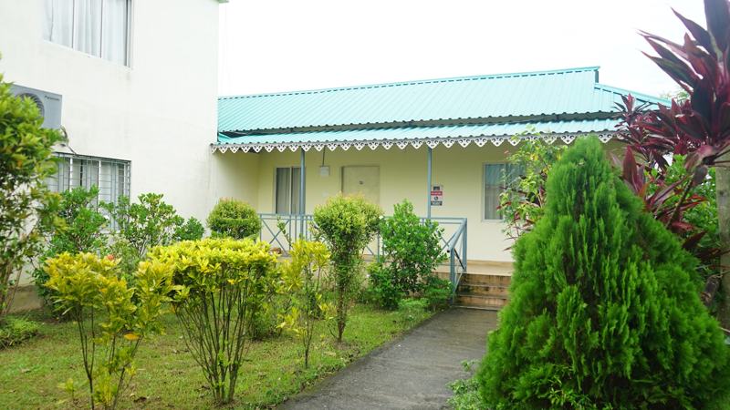 Cottage garden