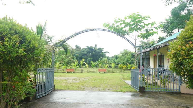 Gate and lawn