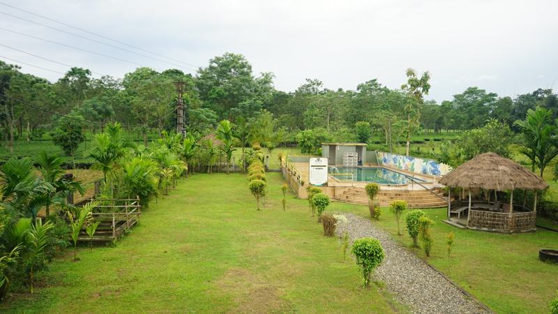 Swimming pool and lawn