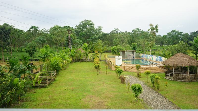 Lawn and pool