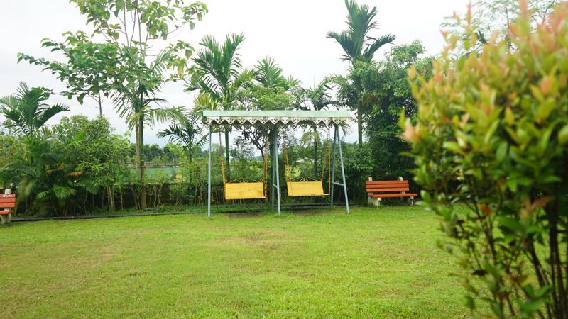Green lawn with swing