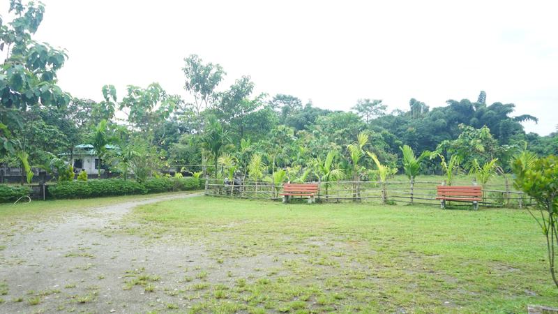 Open lawn