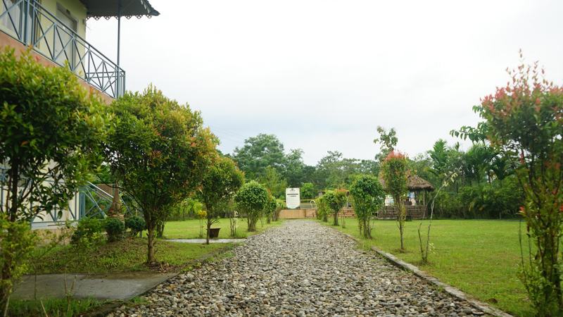 Garden pathway