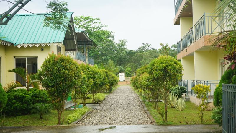 Garden walkway
